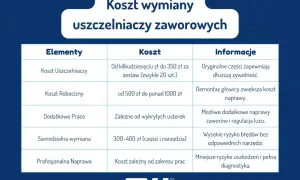 Tabela przedstawia koszt wymiany uszczelniaczy zaworowych, uwzględniając cenę części, robociznę i dodatkowe prace.